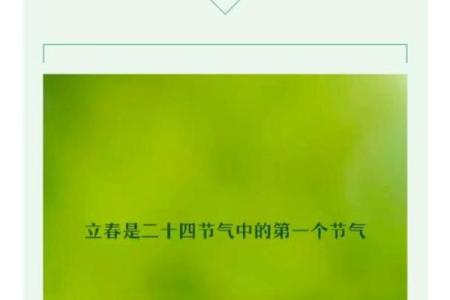 立春：农耕文化中的春耕启示与生机盎然