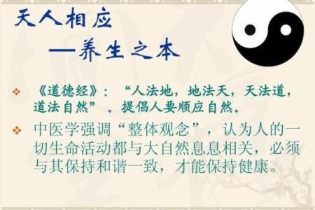 俄罗斯传统新年：习俗与养生之道