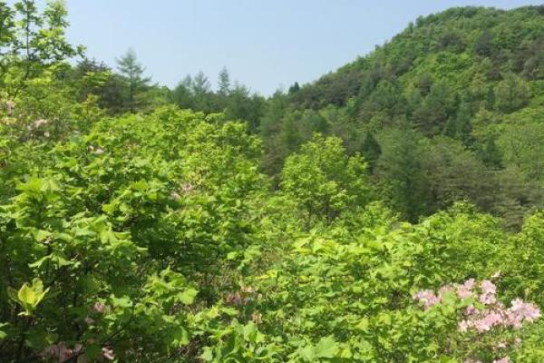 从天文现象看三月初三：这一节日的自然启示