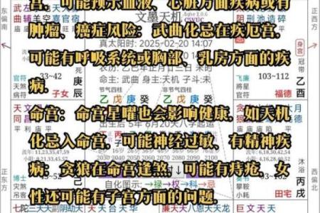 八字命运密码:如何通过命理破解人生暗藏玄机