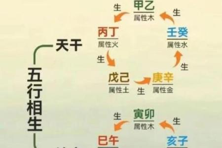 如何通过生辰八字五行缺什么,解析命运不同的奥秘?