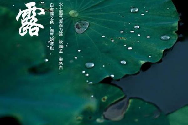 白露,如何根据农耕习俗规划您的日常生活 白露,如何根据农耕习俗规划您的日常生活