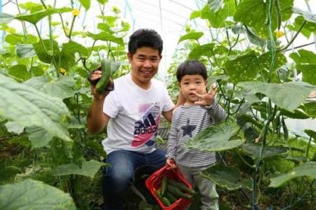 与父亲一起共度农耕节日，礼物有何不同？