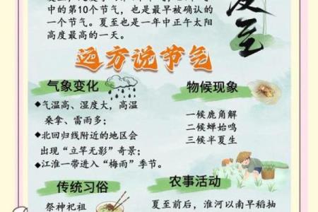 夏至养生:一年中最阳光的日子,如何调养身心