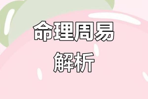 何字命理:揭开命运密码,隐藏的真相你知道吗 何字命理:揭开命运密码,隐藏的真相你知道吗