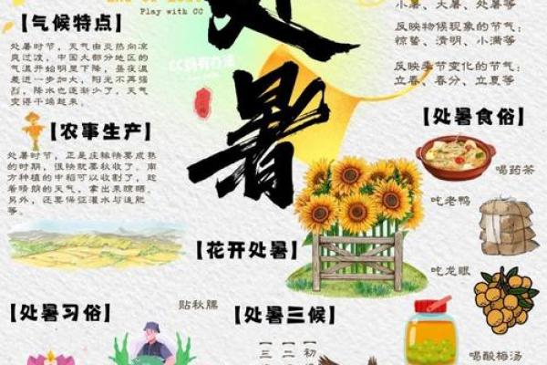 从农耕文化到现代生活,处暑节气的深远影响 从农耕文化到现代生活,处暑节气的深远影响