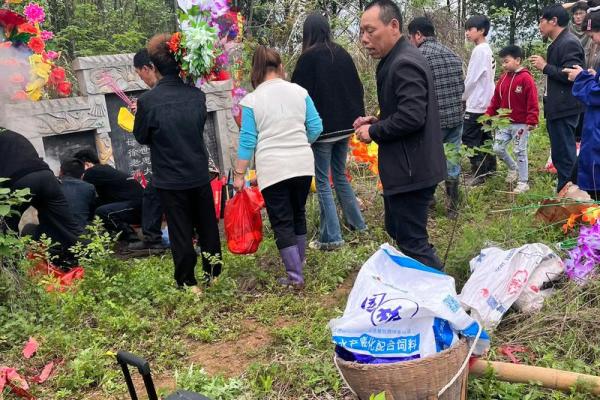 清明节的扫墓习俗与家族文化的延续 清明节的扫墓习俗与家族文化的延续