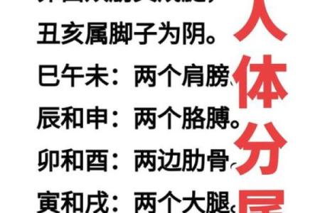 八字命理到底能改变命运吗?你所忽视的关键因素