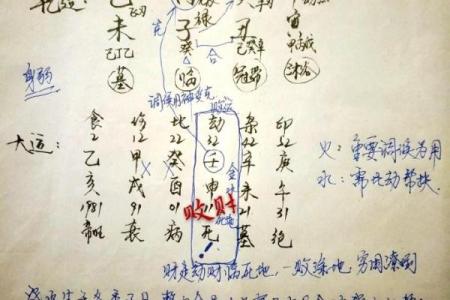 井柏然五行格局揭秘:性格中的隐藏能量,如何通过命理改变人生轨迹