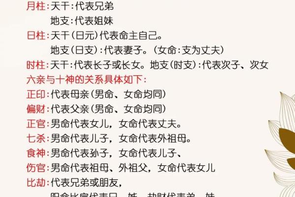 命运不同,选房有差别?八字解析如何影响居住环境的运势 命运不同,选房有差别?八字解析如何影响居住环境的运势