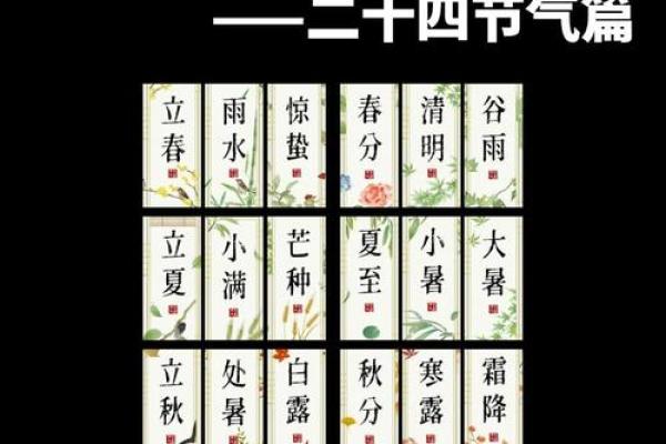 农耕节气与养生之道：打造你的全年节日计划表