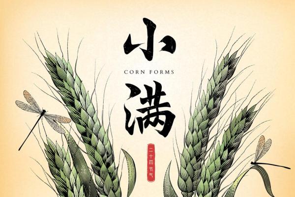 小满节气到，如何通过天文现象调整作息