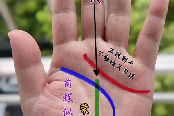 属虎生辰八字能改运吗解析命运的奥秘