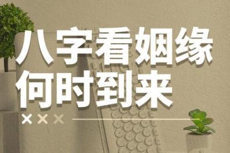 解析生辰八字定婚期：命运不同如何选择合适的婚期，能否改运？