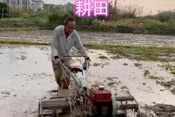 春耕开始,农民节令如何影响田间管理 春耕开始,农民节令如何影响田间管理