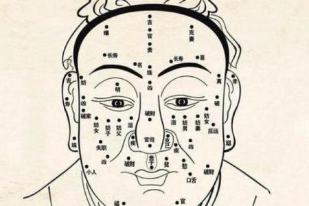 杨振宁的命运密码：如何打破命理误区走向巅峰