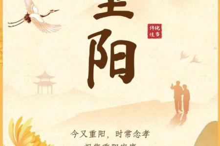 重阳节的诗意与老年养生传统