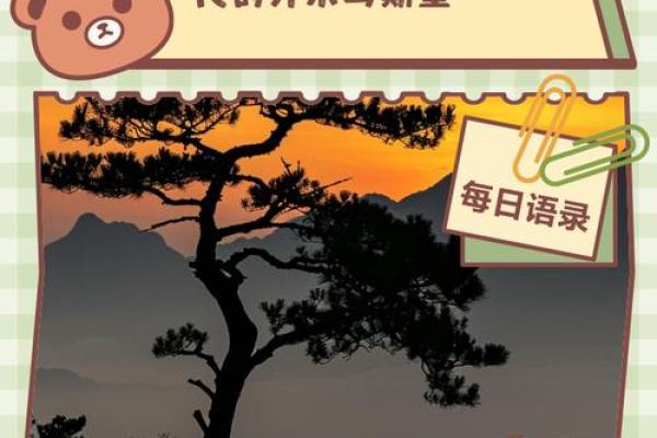 的农耕纪念日,如何感悟季节与自然的奥秘 的农耕纪念日,如何感悟季节与自然的奥秘