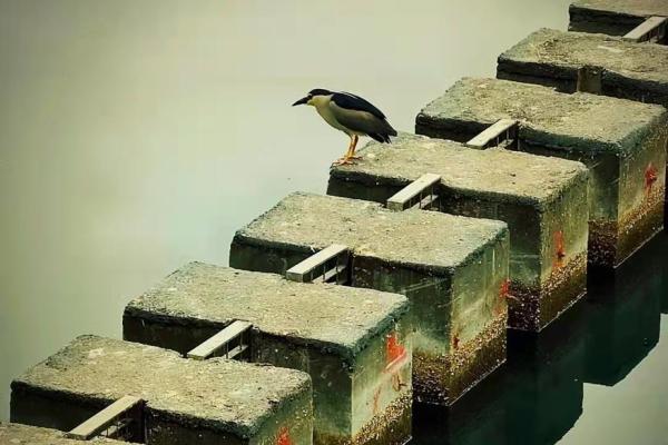 颠覆传统观念,徐州命理中的暗藏玄机竟能改变你的人生轨迹 颠覆传统观念,徐州命理中的暗藏玄机竟能改变你的人生轨迹