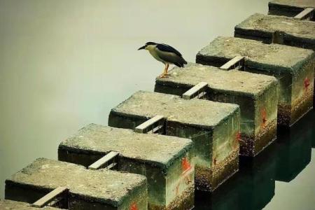 颠覆传统观念，徐州命理中的暗藏玄机竟能改变你的人生轨迹