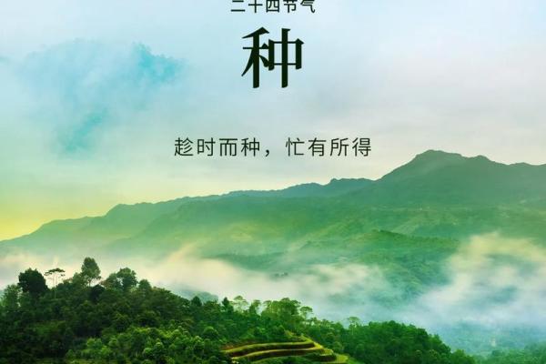 芒种节气:农田里的忙碌与大地的呼吸 芒种节气:农田里的忙碌与大地的呼吸