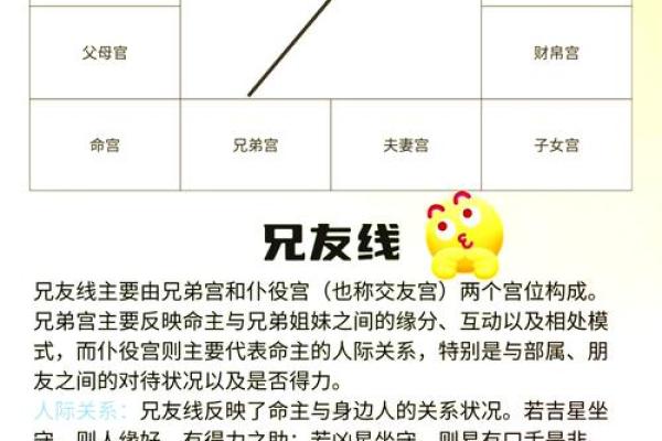 命运密码解析:八字命理背后的深层含义和应用技巧 命运密码解析:八字命理背后的深层含义和应用技巧