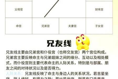 命运密码解析：八字命理背后的深层含义和应用技巧