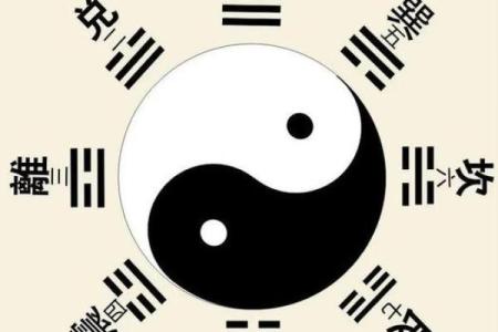 神峰命理揭秘：命运密码如何影响你的未来？