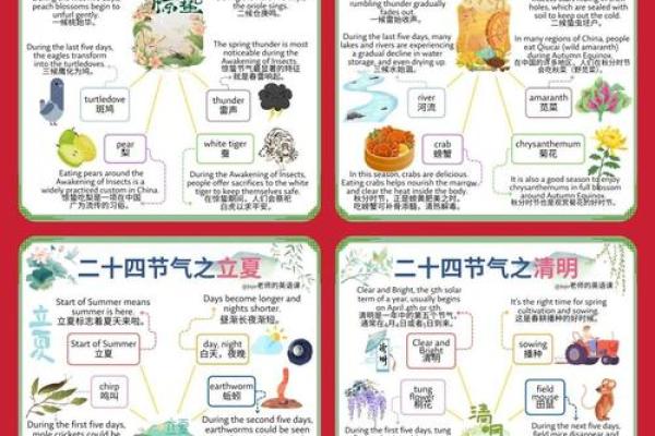 澳大利亚夏至节：如何在天文变换中找到节日的力量与寓意