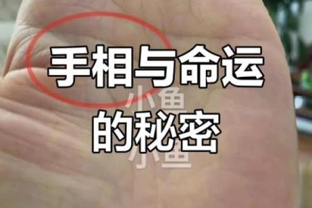 揭秘刘若英命理：命运密码背后的玄机，如何改变不可逆转的命运