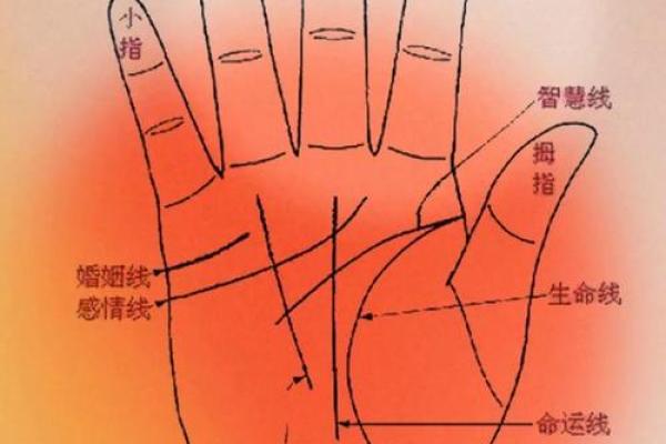 早产儿八字中暗藏玄机，如何避免常见的命运误区