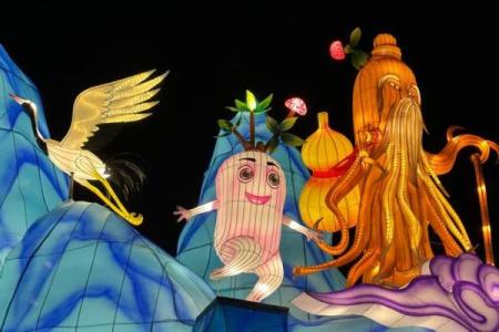 春节文化的多元化与现代应用