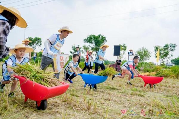 在佳节时节感悟农耕文化的魅力