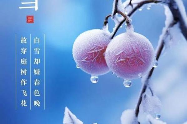 山东大雪节气:古老节令与养生智慧的完美结合 山东大雪节气:古老节令与养生智慧的完美结合