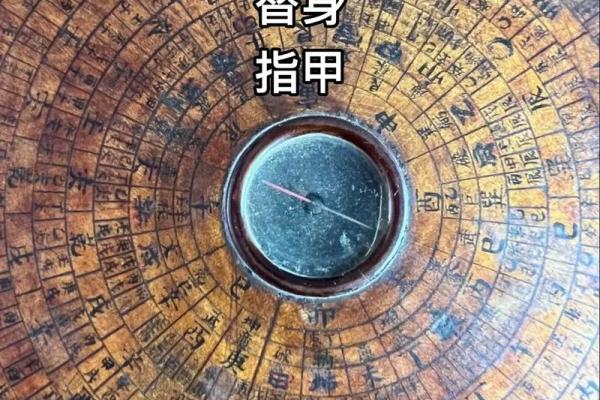 手上螺命理如何影响你的未来?掌握命运密码改变命运 手上螺命理如何影响你的未来?掌握命运密码改变命运