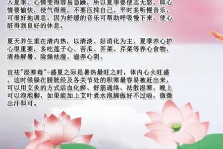 夏季养生与节气转折的巧妙平衡