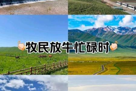 从新疆的节庆看农耕文化的繁荣