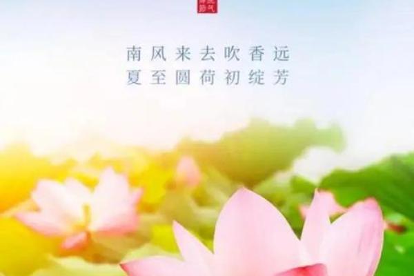 六月初六节气养生与健康的传统智慧