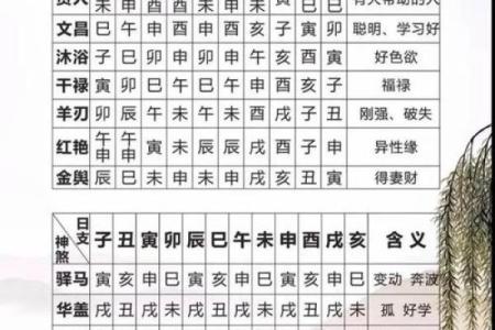 揭秘生辰八字算寿命准不准：能改运吗？合婚看什么？