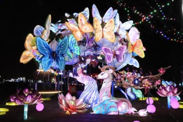 高山族灯会:点亮夜空的星辰与传统 高山族灯会:点亮夜空的星辰与传统