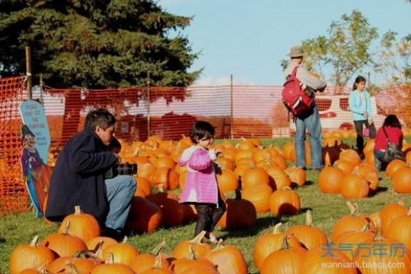 感恩节:从农耕文化到现代家庭团聚的深刻意义 感恩节:从农耕文化到现代家庭团聚的深刻意义
