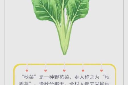 传统节庆：感受秋分节气中的农耕智慧
