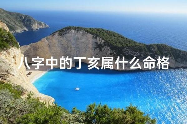 张杰谢娜八字揭秘：命运密码解锁成功与幸福的真相