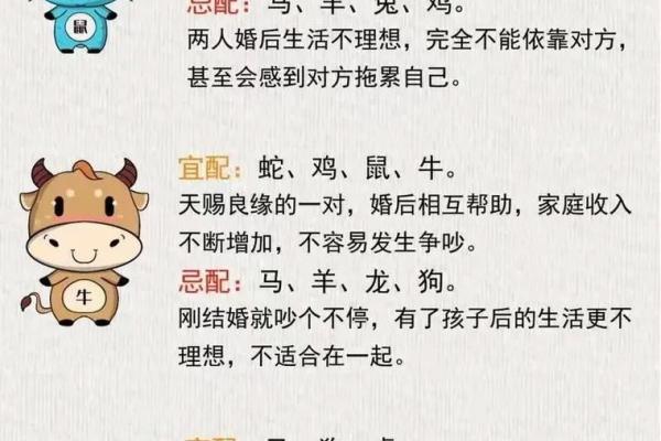 司马懿生辰八字揭秘：合婚时如何通过八字判断命运是否匹配