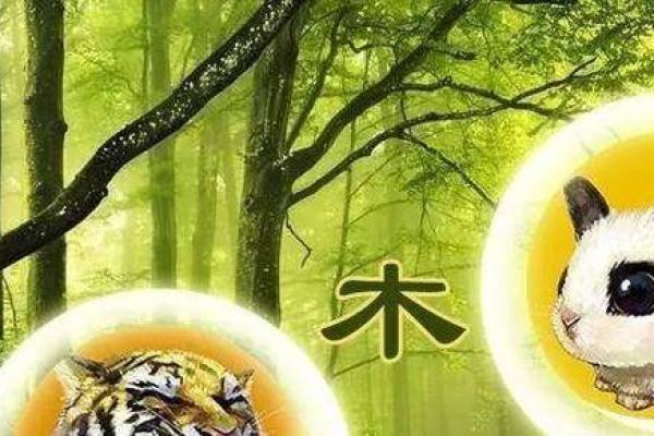 揭开五行命理的命运密码，如何改变你的未来