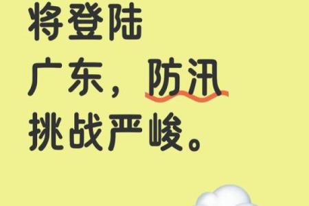 台风天出生的八字命理，为什么有时越“逆”越好？