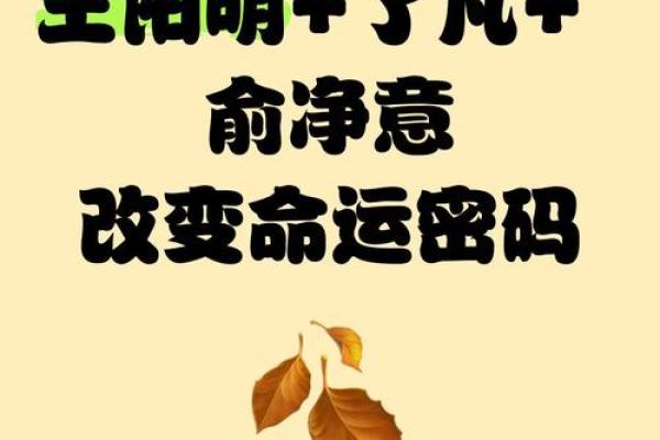 巩新亮的命运密码:如何破解命运中的暗藏玄机 巩新亮的命运密码:如何破解命运中的暗藏玄机
