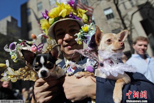美国复活节的传统与家庭团聚的意义