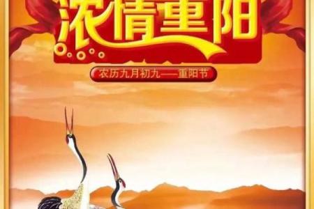 重阳诗词的敬老与养生智慧