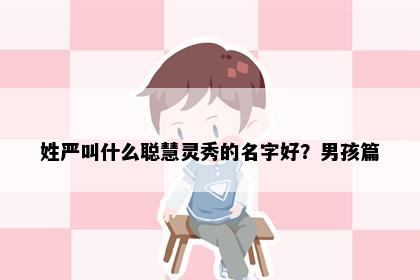 姓严叫什么聪慧灵秀的名字好？男孩篇